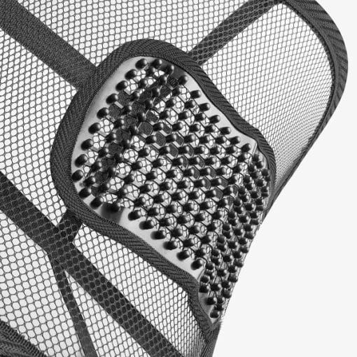 Bärbart ländryggsstöd